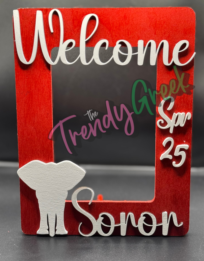 Sorority Picture Frame | Soror | Sorority Gift | Gift For Her | Probate | Initiation Gift | AKA | Delta| Zeta Phi Beta | Sigma Gamma Rho